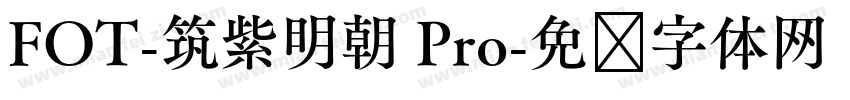 FOT-筑紫明朝 Pro字体转换
